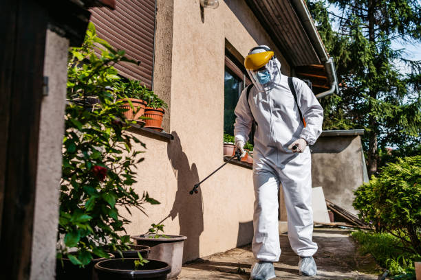 Best Mosquito Control Services  in Metairie, LA