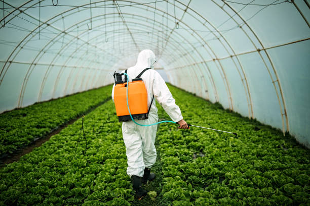 Best Affordable Pest Control Services  in Metairie, LA