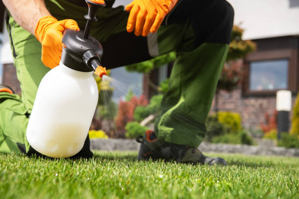 Best Wasp Removal Services  in Metairie, LA