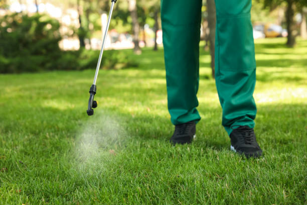 Best Emergency Pest Control  in Metairie, LA