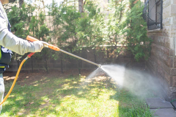 Best Pest Control Treatment  in Metairie, LA
