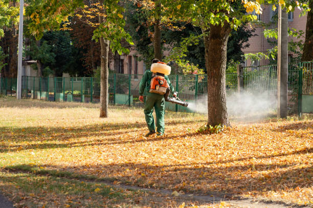 Best Pest Control Near Me  in Metairie, LA