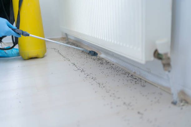Best Affordable Exterminators  in Metairie, LA